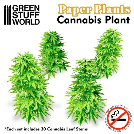 Paper Plants Cannabis Scale 1:35 9472ES 10448 -  Israel