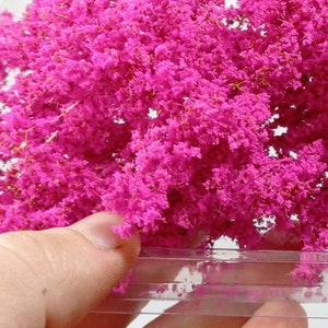 Foliage, bush or tree canopy w20 Magenta Diorama Landscape