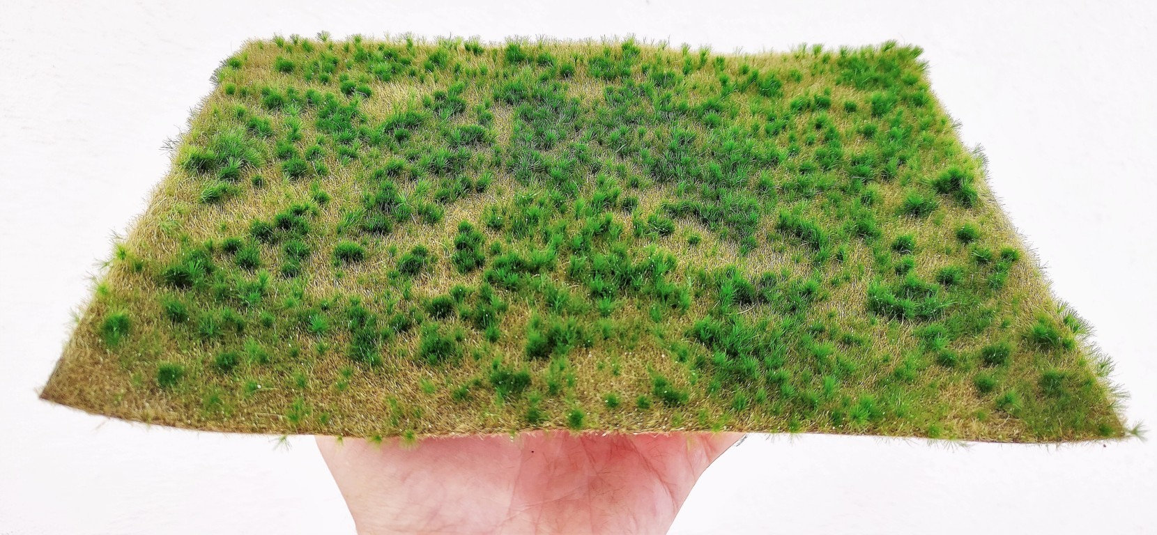Base A Professional Type 3 A4 Size Wild Grass Soil Wg102 Approximately 21  Cm X 30 Cm Surface 