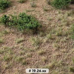 desert grass and soil with bushes 18.5 x 28cm about queues:19.26