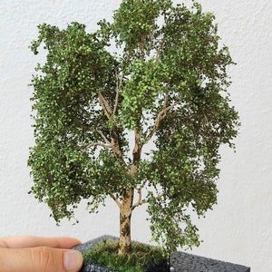 Diorama de plátano comum 18-22 cm 51-2311