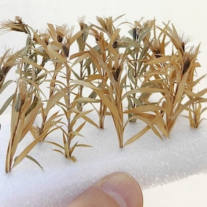 Puede incluir: Una colección de plantas secas de color beige con cabezas de flores marrones, dispuestas sobre una base de espuma blanca.