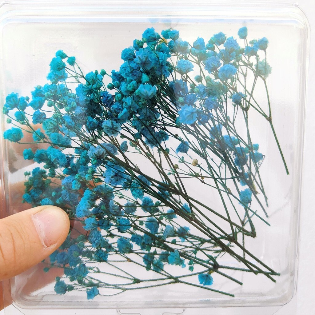 01 0koki'o 00 Miniature Celestial Flower Dip216984-5 - Etsy