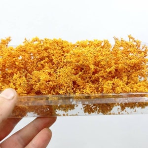 Foliage, bush or tree canopy w18 Orange Diorama Landscape