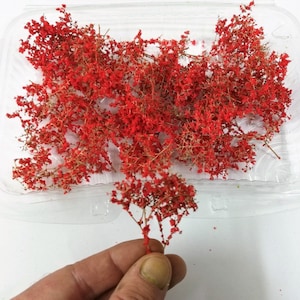 Foliage, bush or tree canopy w17 Red Diorama Landscape