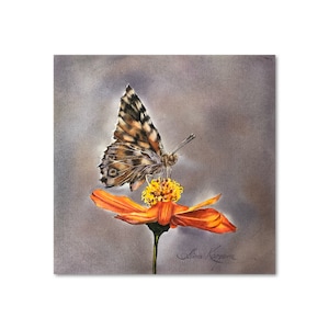 Schmetterling auf Blume Aquarell