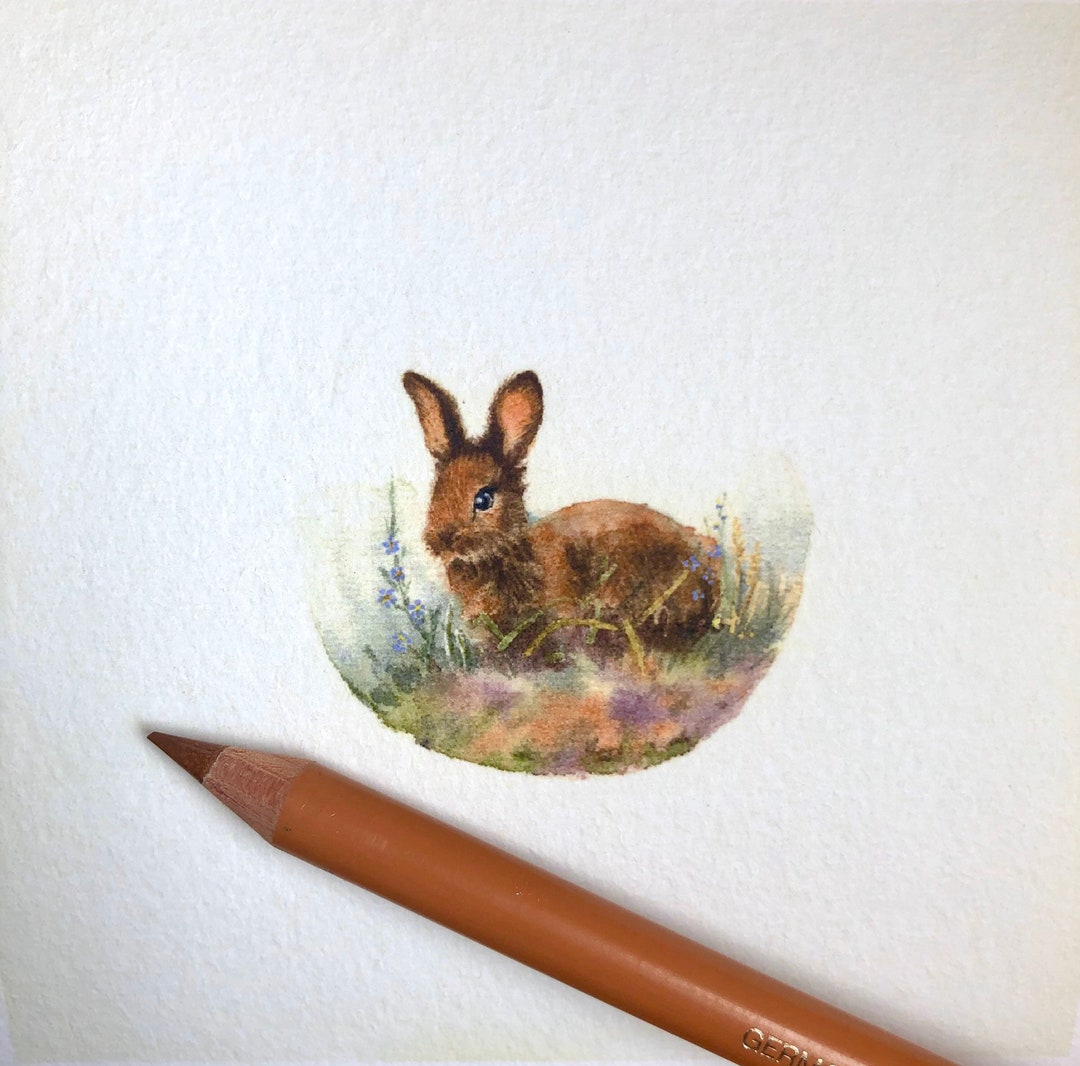 Bunny Baby Rabbit Giclèe Art Print Nursery Art - Etsy