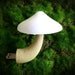 see more listings in the Mushroom Night Lights section