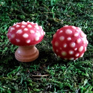 Glowing Mushroom Knob Pulls | Natural