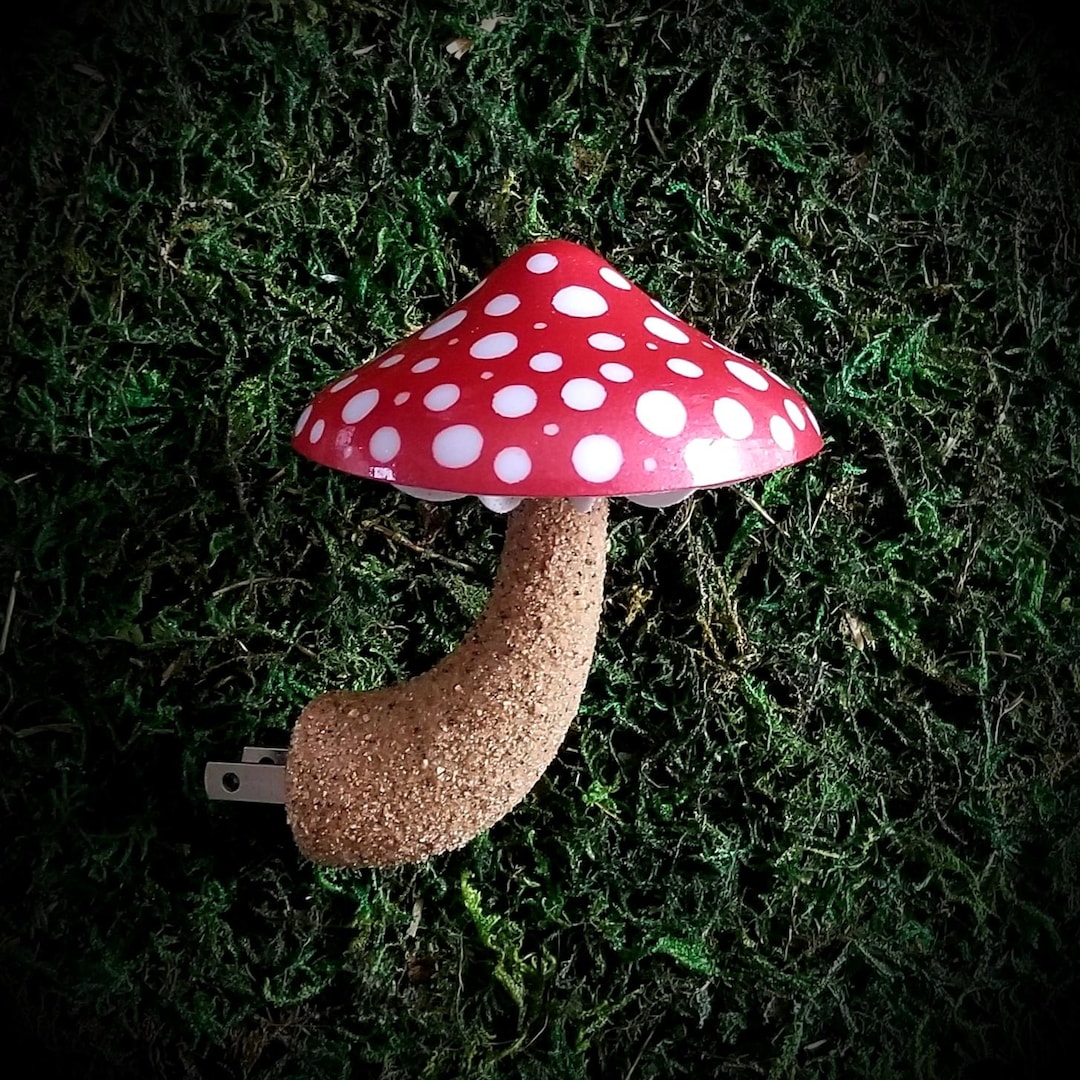 il_1080xN.6640775308_lek0.jpg