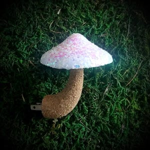 May include: A white and pink glitter mushroom shaped night light with a brown base and a plug.