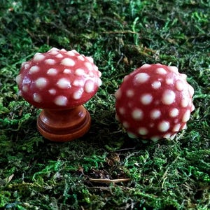 Glowing Mushroom Knob Pulls | Rustic