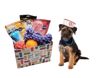 Get well gifts for dogs Clearance