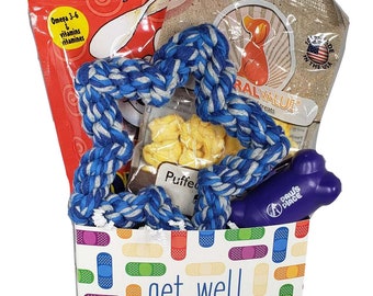 sick dog gift basket