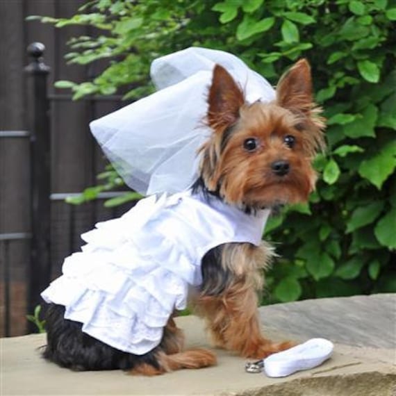 White Satin Dog Wedding Dress Headpiece Leash /& D-Ring