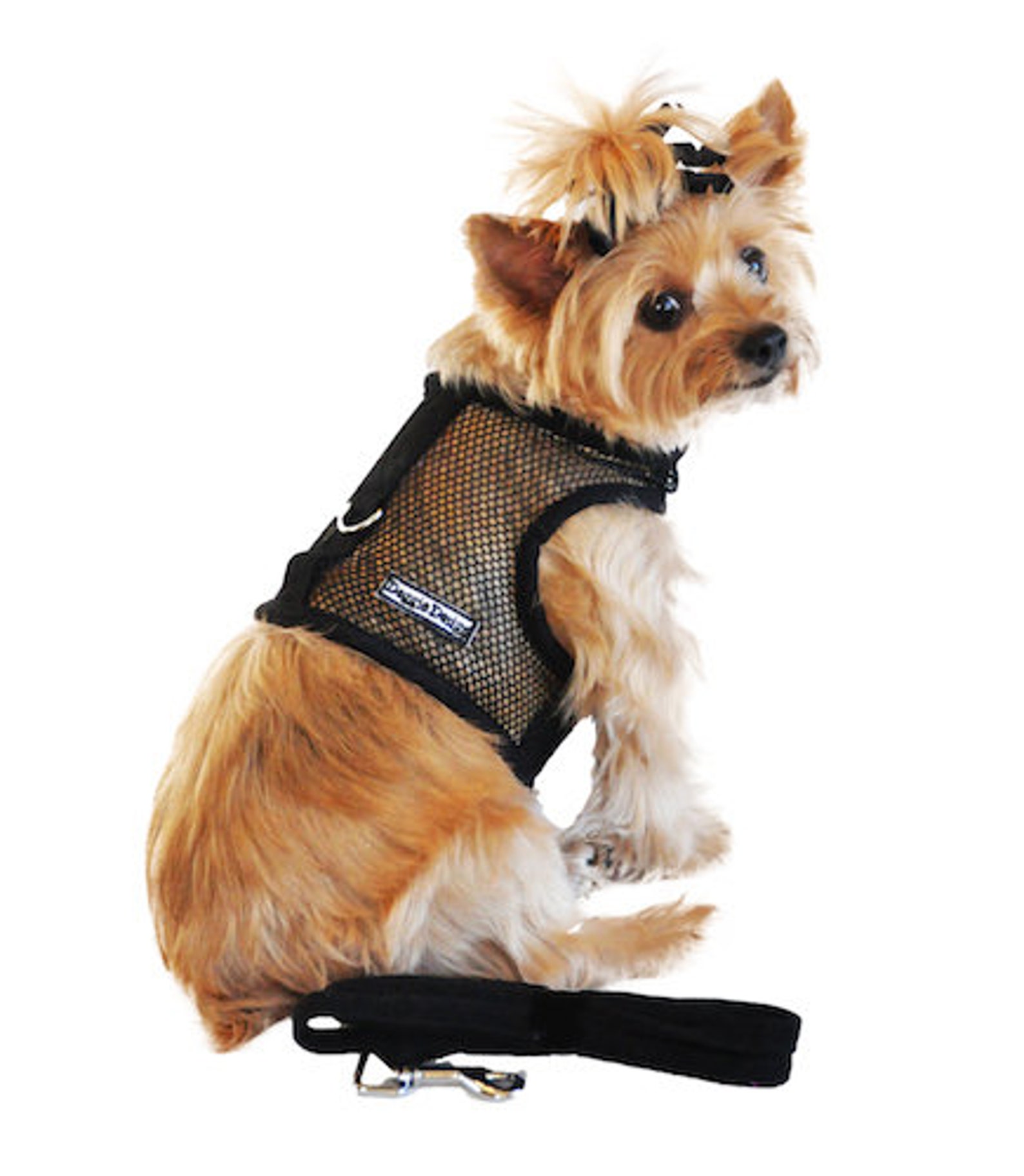 Black Cool Mesh Velcro Dog Harness With Leash Etsy