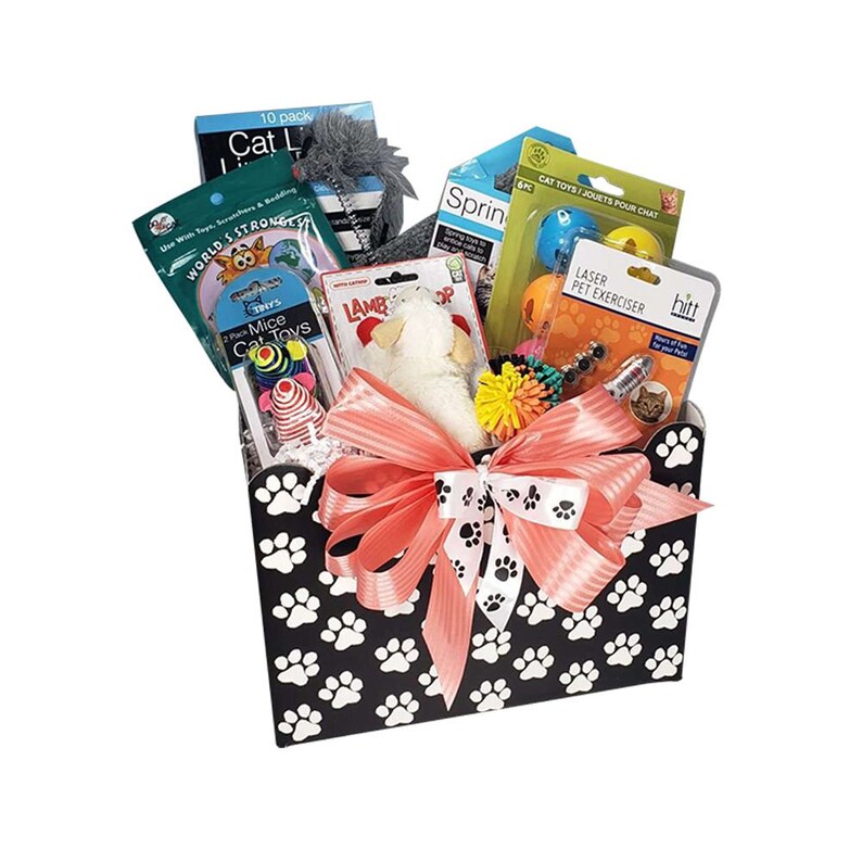 Feline Fine Gift Basket Etsy
