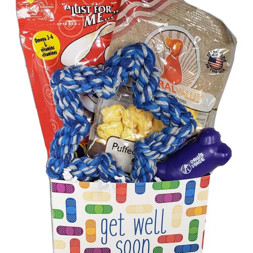 Dog Get Well Basket Get Well Dog Get Gift Basket for Dogs Etsy