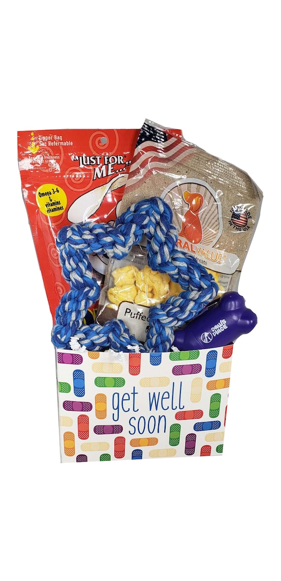 dog get well basket