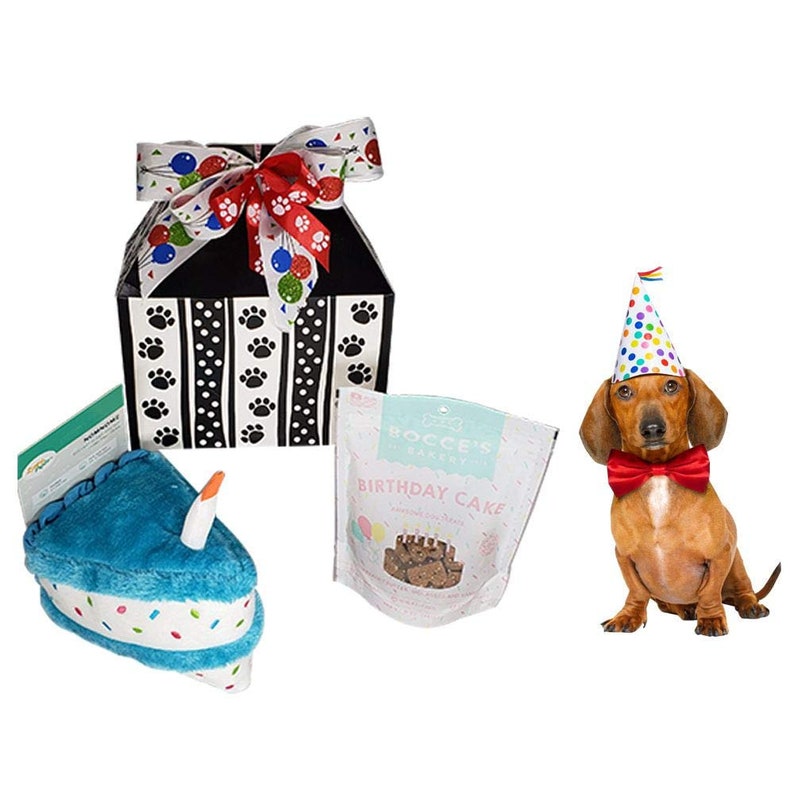 Dog Birthday Box Etsy