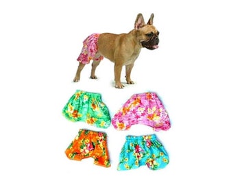 dog shorts