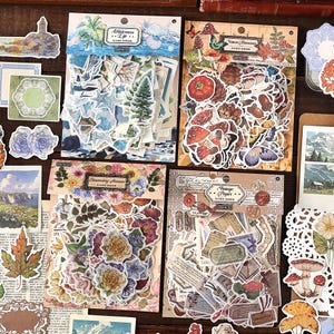 Paquete de 200 pegatinas washi retro de naturaleza, juego de pegatinas decorativas de plantas y flores, pegatinas troqueladas vintage, kit de inicio para diario basura.