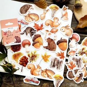 Pacote de adesivos de animais fofos de outono da floresta com 46 peças | Adesivos de diário de lixo | Essencial para planejadores, Bujo, scrapbooking infantil e suprimentos de artesanato