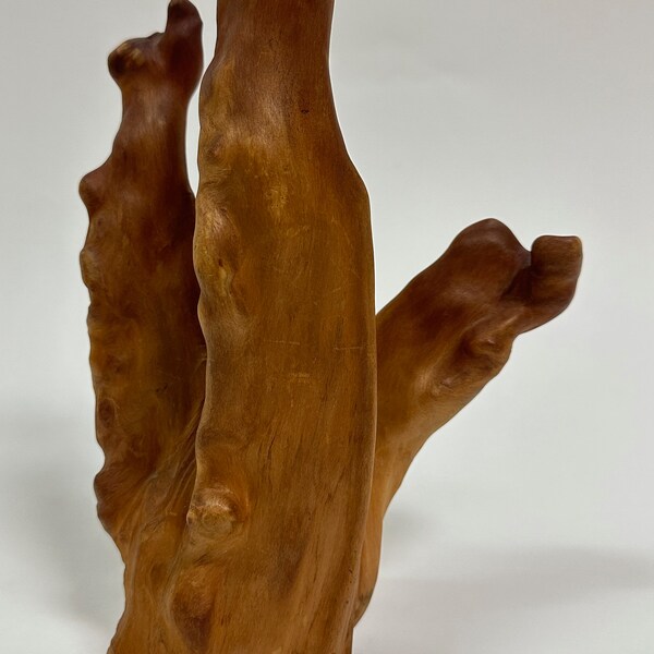 Vintage Cypress Knee Root, 9.5" Tall