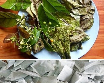 Trà túi lọc cây xạ đen - Dried Celastrus Hindsii Leaves tea - 100 tea bag - Trà Lá Dây gối khô túi lọc