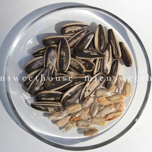 Roasted Sunflower seeds - Hạt hướng dương rang mộc - Seeds & Nut For Vietnamese New Year - Snack, nut, offer guests Tet, wedding celebration