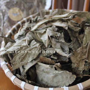 Lá Vối Khô - Dried Syzygium nervosum leaves - Cleistocalyx operculatus