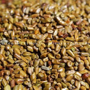 Hạt muồng pha trà | Hạt thảo quyết minh | Cassia Seed Tea | Herbal tea | Roasted Vietnamese Tea for Relaxation | Non-Caffeinated