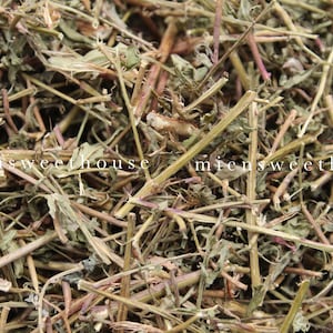 Cây rau mương khô - Dried Ludwigia prostrate tree - dried primrose-willow, water-purslane, water-primrose