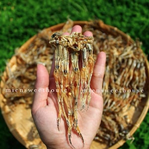 May include: A hand holding a bunch of dried frog legs. The frog legs are light brown and have a crispy texture. The background is a wicker basket filled with more dried frog legs.