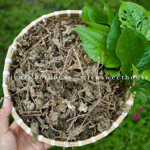 Cây Lá Lốt Khô - Lá Lốt Khô - Dried Piper Lolot - Dried Piper sarmentosum - Lá Lốp Khô - Lolot pepper, lolot, wild betel