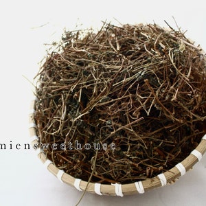 Cây dòi thân tím khô - Cây bọ mắm khô - Dried Pouzolzia zeylanica tree