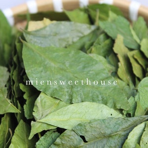 May include: A close-up of a pile of dried green curry leaves. The leaves are arranged in a basket and are ready to be used in cooking.
