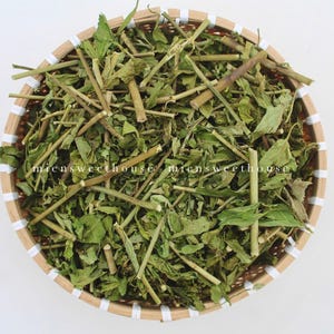Cây xương khỉ khô - Cây bìm bịm khô - Dried Clinacanthus nutans female