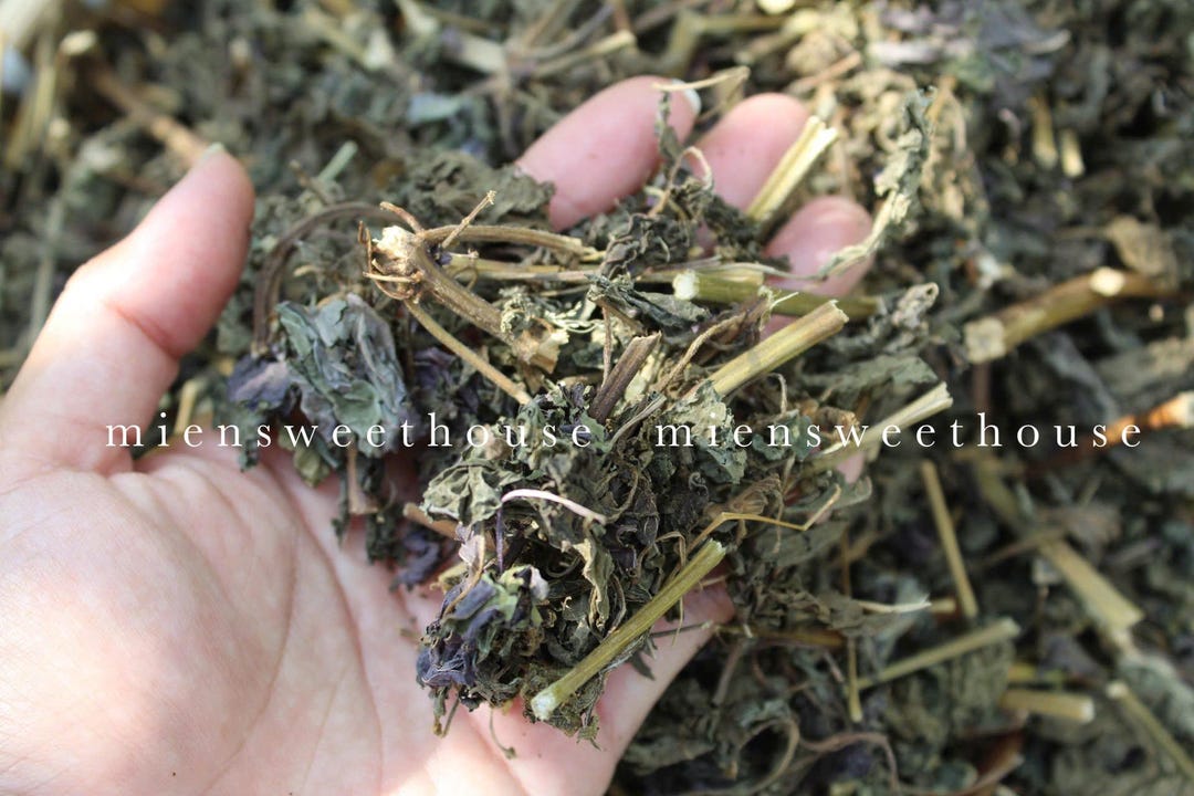 Dried Shiso Leaves - Vietnamese Herbal Tea - Cây Tía Tô Khô (250g ...