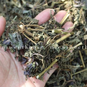 Dried Shiso Leaves - Vietnamese Herbal Tea - Cây tía tô khô (250g - 1000g)