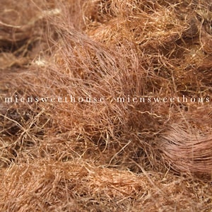 Râu bắp, râu ngô khô - Natural Dried Corn Silk – Herbal Tea for Detox - Dried corn silk
