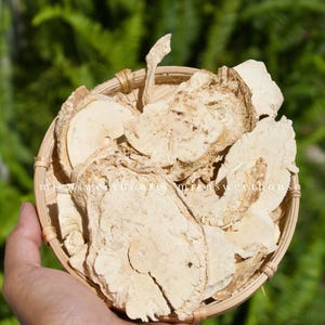 May include: A close-up of a woven basket filled with dried, light brown, irregularly shaped pieces of root. The basket is being held by a hand.