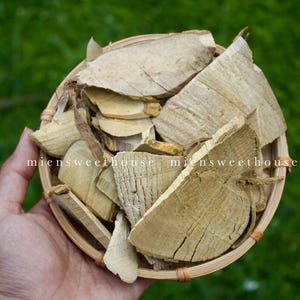 Cây Ưng Bất Bạc sấy khô - Muồng truổng sấy khô - hoàng mộc dài khô - Dried Zanthoxylum avicennae