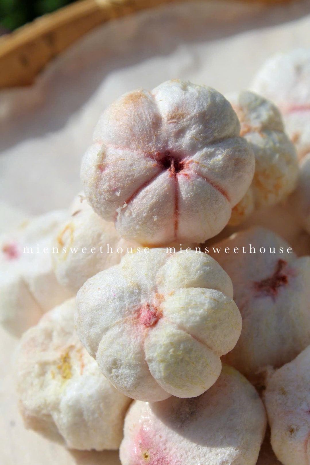 Freeze-dried Mangosteen: Vietnamese Crispy Fruit Snack - Etsy