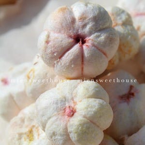 Freeze-dried Mangosteen - Vietnamese Mangosteen - Healthy fruit snack - Non suger freeze dried fruit - Healthy Snack