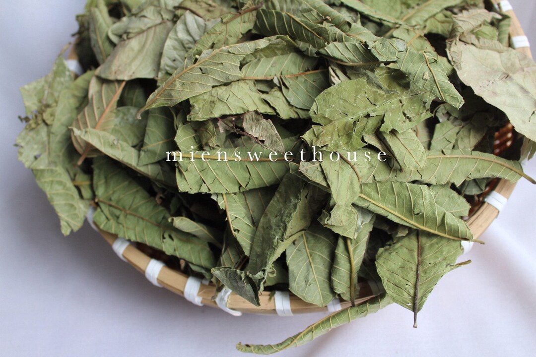 Lá ổi Khô - Dried Guava Leaves - Guava Leaf Tea - Guava Leaf - Guava ...