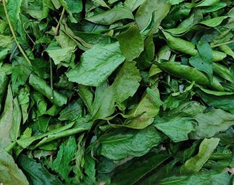 Dried Mac Mat Leaves - Dried clausena indica leaves - Lá Mắc Mật Khô