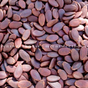 Roasted Watermelon Seeds - Hạt Dưa, hột dưa - Seeds & Nuts For Vietnamese New Year - Snack, nut,  to offer guests Tet, wedding celebration