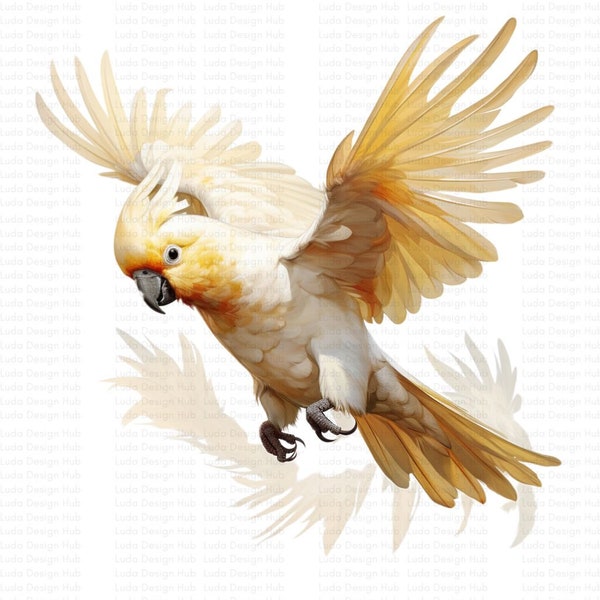 Enchanting Baby Cockatoo Clipart: 10 Vibrant Watercolor Images - Perfect for Bird Lovers, Educational Projects, and Commercial Use