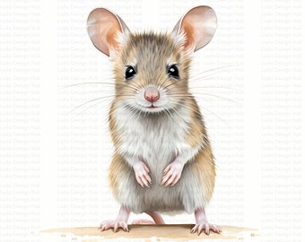 Clipart de bebê bandicoot em aquarela: arte animal australiana (download digital)